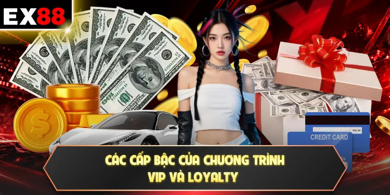 Chương Trình VIP Và Loyalty | 5 Quà Tặng Độc Quyền VIP 2 Các cấp bậc của chương trình VIP và Loyalty
