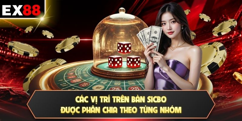 Các vị trí trên bàn Sicbo được phân chia theo từng nhóm