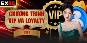Chương Trình VIP Và Loyalty | 5 Quà Tặng Độc Quyền VIP