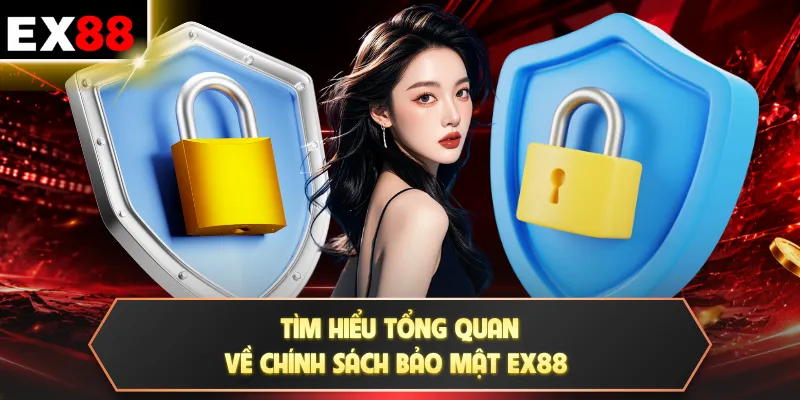 Tìm hiểu tổng quan về chính sách bảo mật EX88